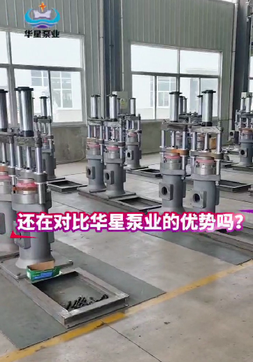 冶金、選礦、含酸礦漿長(zhǎng)距離輸送或給壓濾機(jī)進(jìn)料
